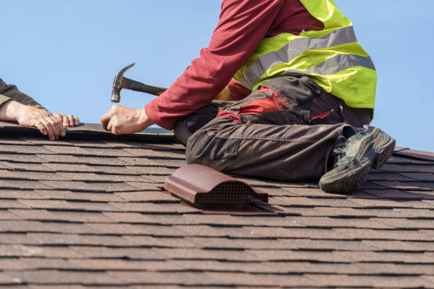 Best Local Roofing Companies  in Carrier Mls, IL
