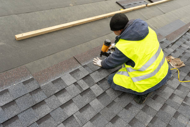 Best Roof Leak Repair  in Carrier Mls, IL