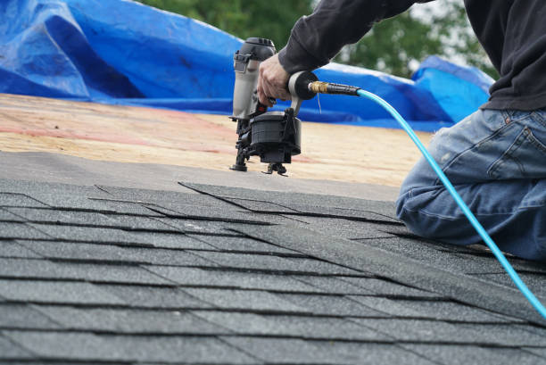 Best Roof Repair Services  in Carrier Mls, IL