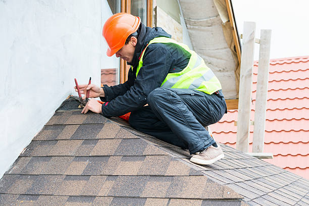 Best Roof Maintenance Services  in Carrier Mls, IL